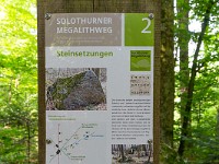 2024-07-05 Megalithweg + Verenaschlucht Solothurn 800  FUL0599 : Megalithweg, Solothurn, Verena-Schlucht