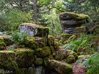 2025-08-23 24 Mont Sainte-Odile 800  FUL3145 : Mont Sainte-Odile