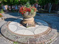 2025-08-23 24 Mont Sainte-Odile 800  FUL3190 : Mont Sainte-Odile