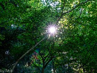 2025-08-23 24 Mont Sainte-Odile 800  FUL3211 : Mont Sainte-Odile