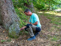 2025-08-23 24 Mont Sainte-Odile 800  FUL3221 : Mont Sainte-Odile