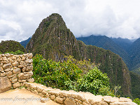 Huayna Picchu. : Machu Picchu