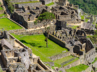 Hauptplatz. : Machu Picchu