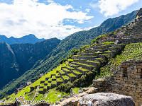 Auf den Terrassen wurde Landwirtschaft betrieben. : Machu Picchu