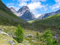 Piz Buin, 3312 m. : Engadin