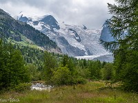 Val Morteratsch. : Engadin