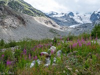 Val Morteratsch. : Engadin