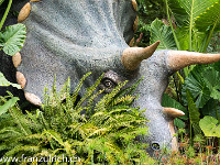 Im Zoo ist der Triceratops los... : Washington DC