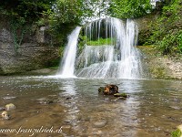 2024-08-08 Wasserfall 800  FUL0892 : Bielbach, Wasserfall