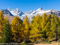 Von der Riffelalp wandern wir nun zum Grüensee. Auf dieser Höhe sind die Lärchen herbstlich gelb gefärbt. Im Hintergrund Ober Gabelhorn (4063 m), Wellenkuppe (3903 m) und Zinalrothorn (4221 m). : Herbst, Matterhorn, Zermatt