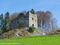 Burg Nünegg bei Lieli. Sie wurde bis 2016 saniert und wieder zugänglich gemacht. : Burg Nünegg Lieli Frühling